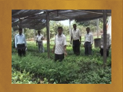 AIMS - Dapoli