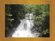 AIMS - Eco_tourism
