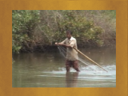 AIMS - Goa_fisherman